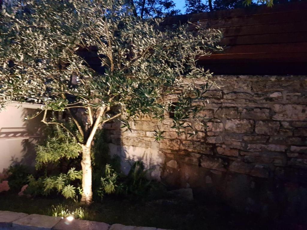 Haus Delma Villa Brajkovici  Екстериор снимка