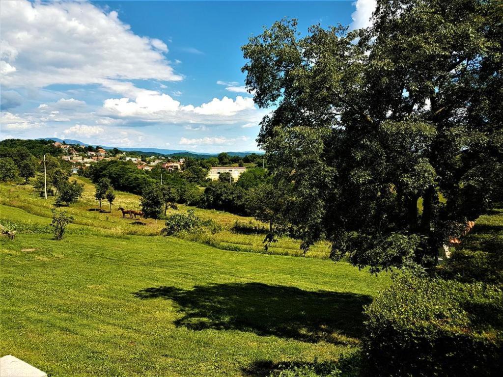 Haus Delma Villa Brajkovici  Екстериор снимка